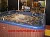 jacuzzi-piscinas-agua-hidromasaje.jpg