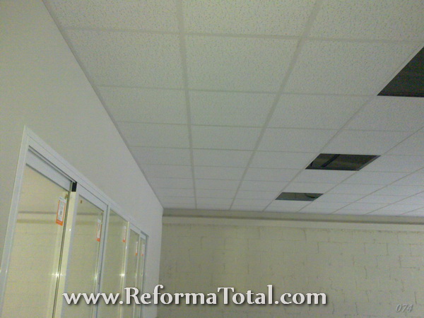 Profesional de Instalacion Techo Armstrong Madrid