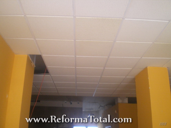Negocio Local Techos Falsos Registrables